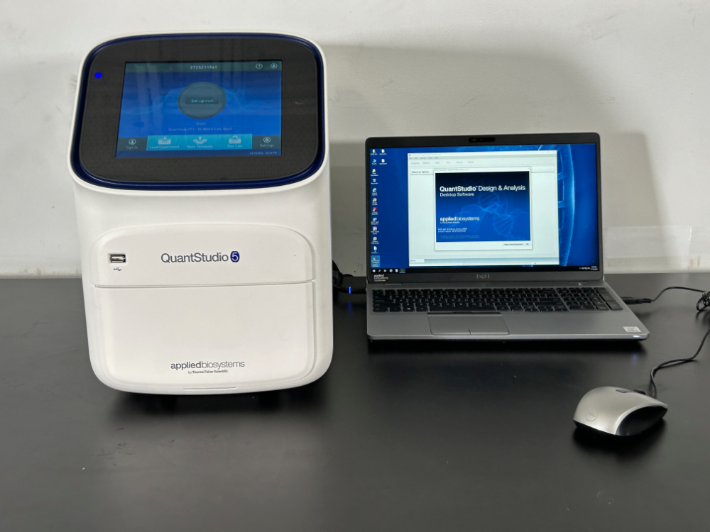 Image of Applied Biosystems QuantStudio 5 Real-Time PCR System